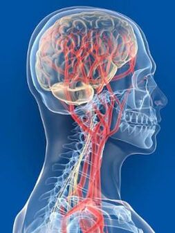 Une altération de l'apport sanguin au cerveau est une autre cause d'hypertension